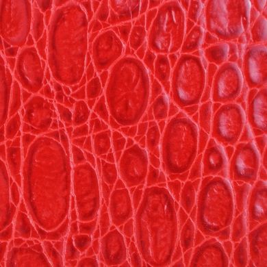 Барсетка-гаманець з натуральної шкіри Neri Karra 0955.1-20.25 червоний